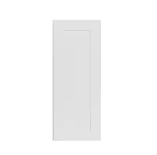 WS Wall Cabinet - 21''W x 36''H x 24''D