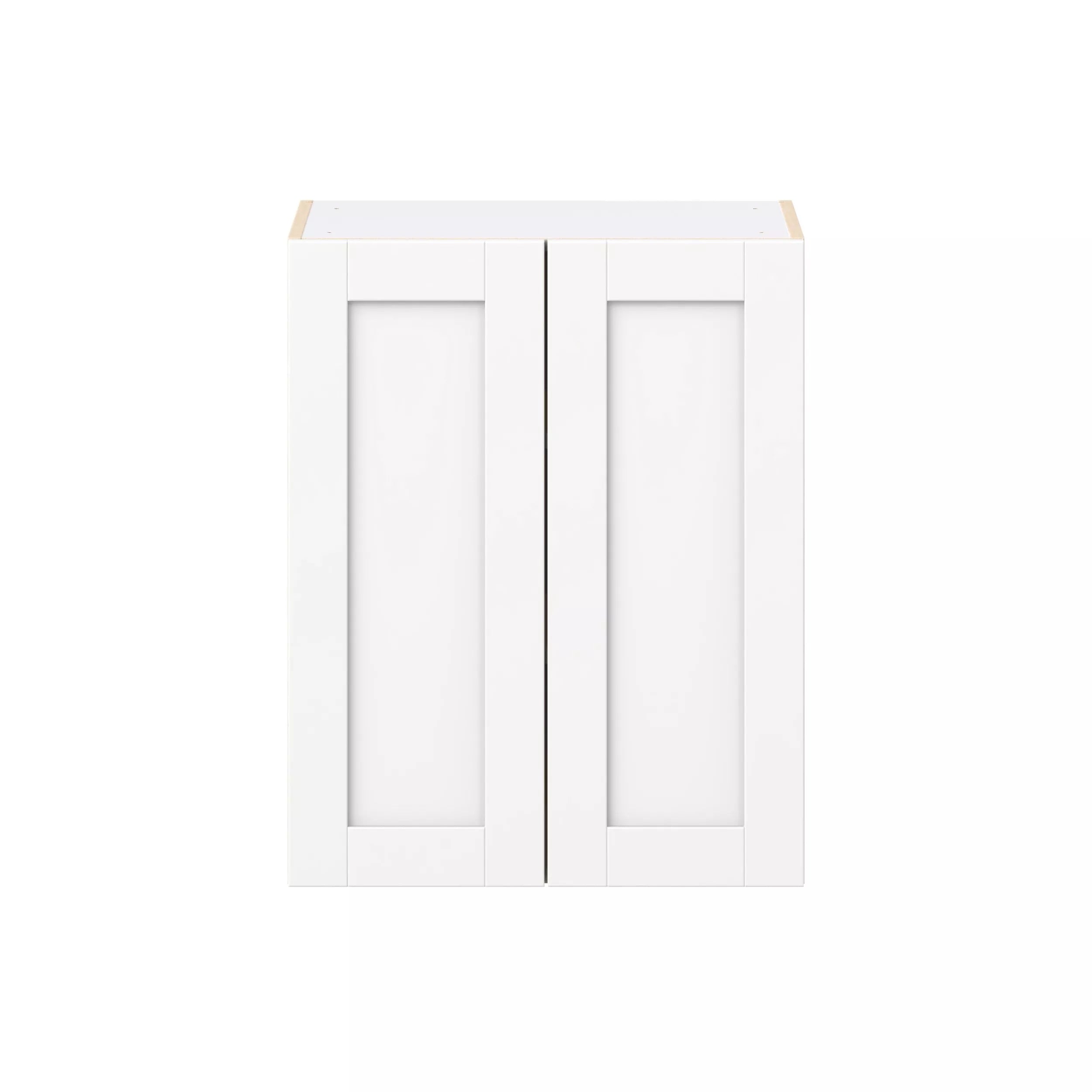 Wall Cabinet Double Door 42''H x 30''H x 24''D
