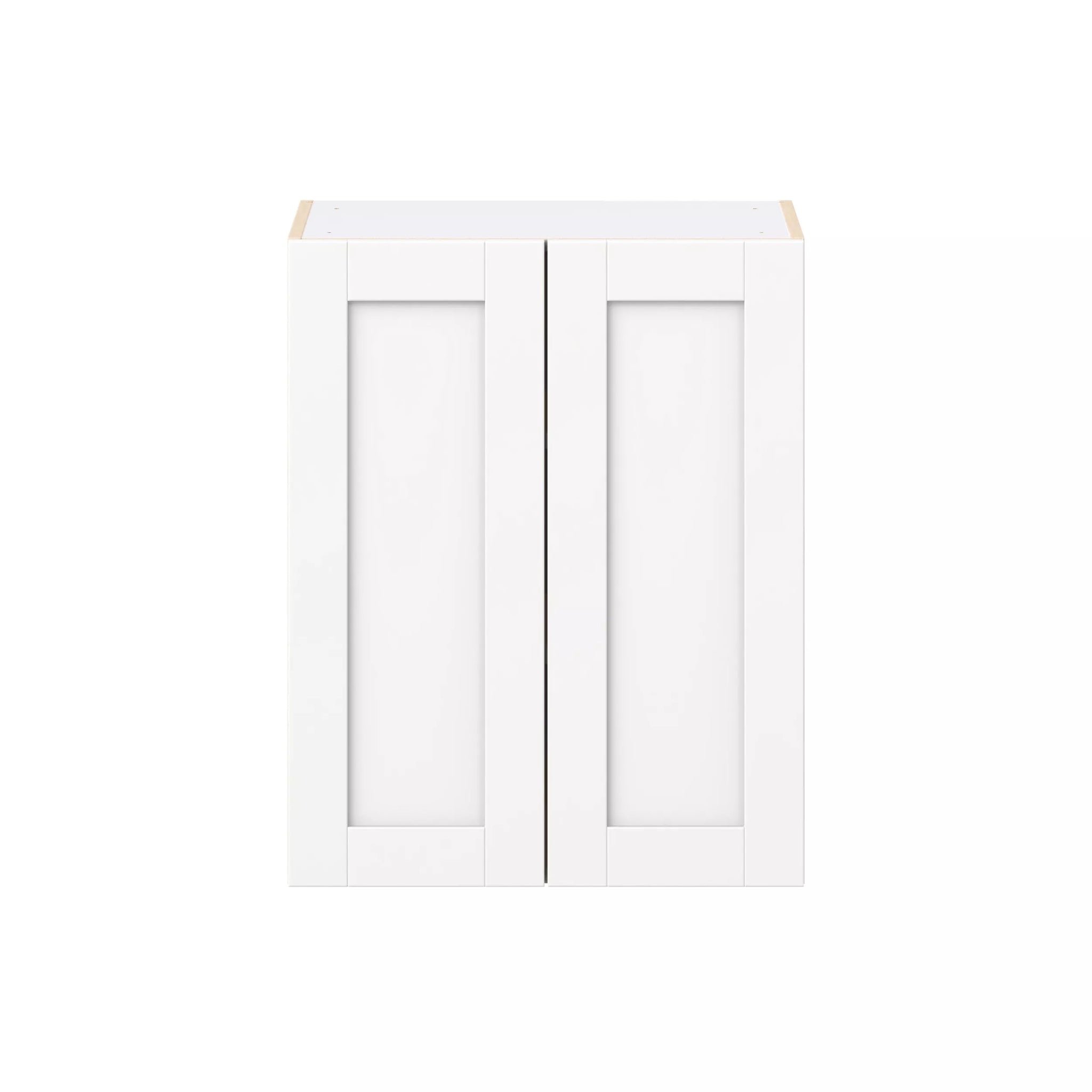 Wall Cabinet Double Door 42''H x 30''H x 24''D