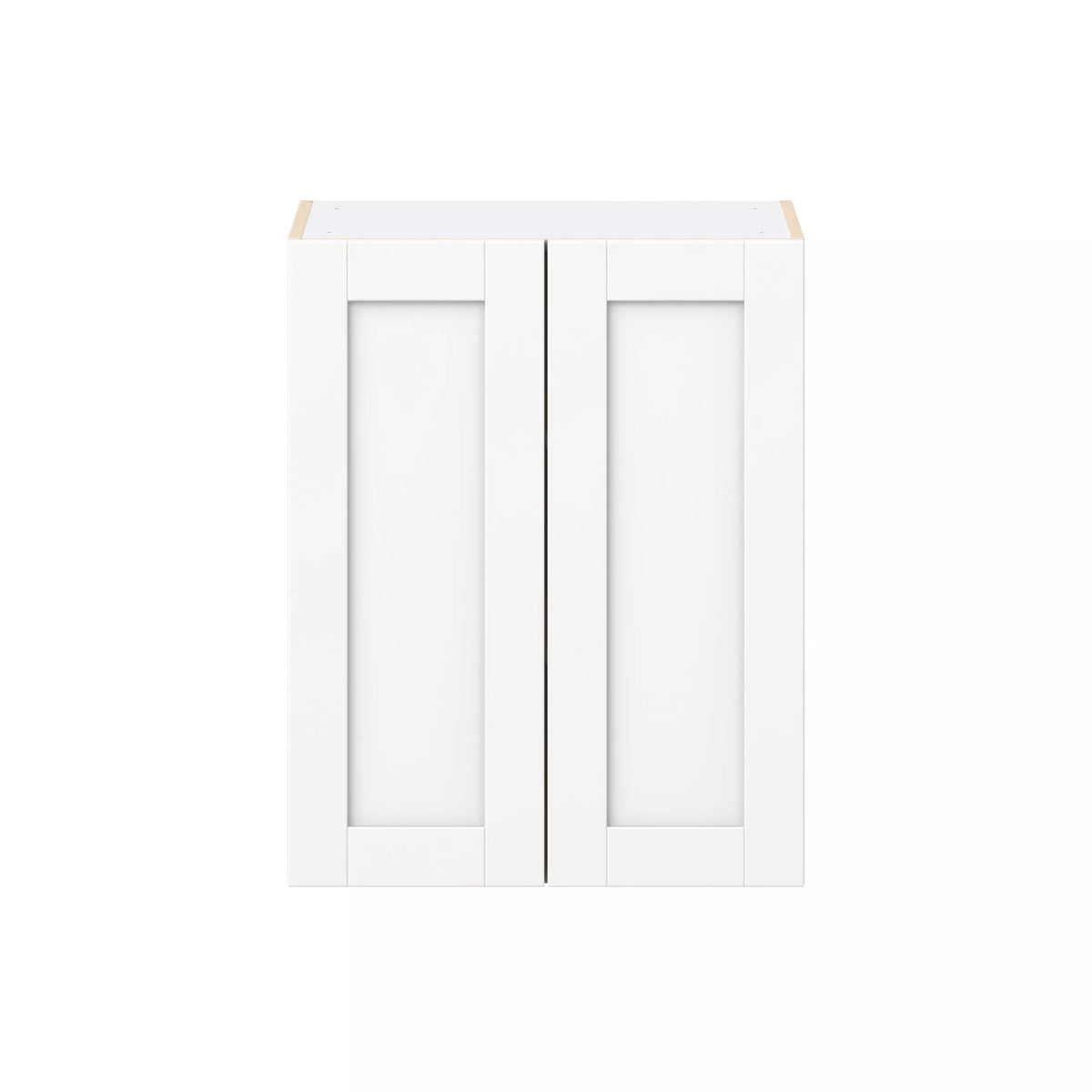 Wall Cabinet Double Door 42''H x 30''H x 24''D